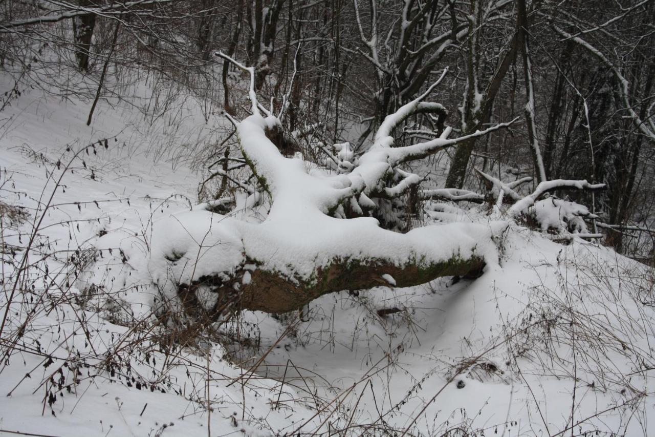Ferienpark Winterberg Zewnętrze zdjęcie